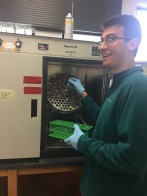 Carter Brzezinski excitedly loading overnights for his and Sarah Manz's research on the affects of methyl jasmonate on E. coli growth.