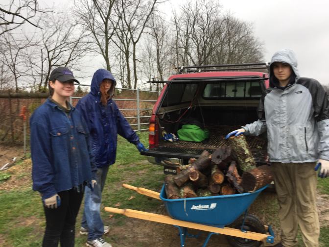 Ted Boggess, Fiona Ellsworth, Alex Law--along with Professor Bagne, set up the wood in the 3 locations for their project on salamander habitat use. It was, if the picture is not clear, quite rainy.